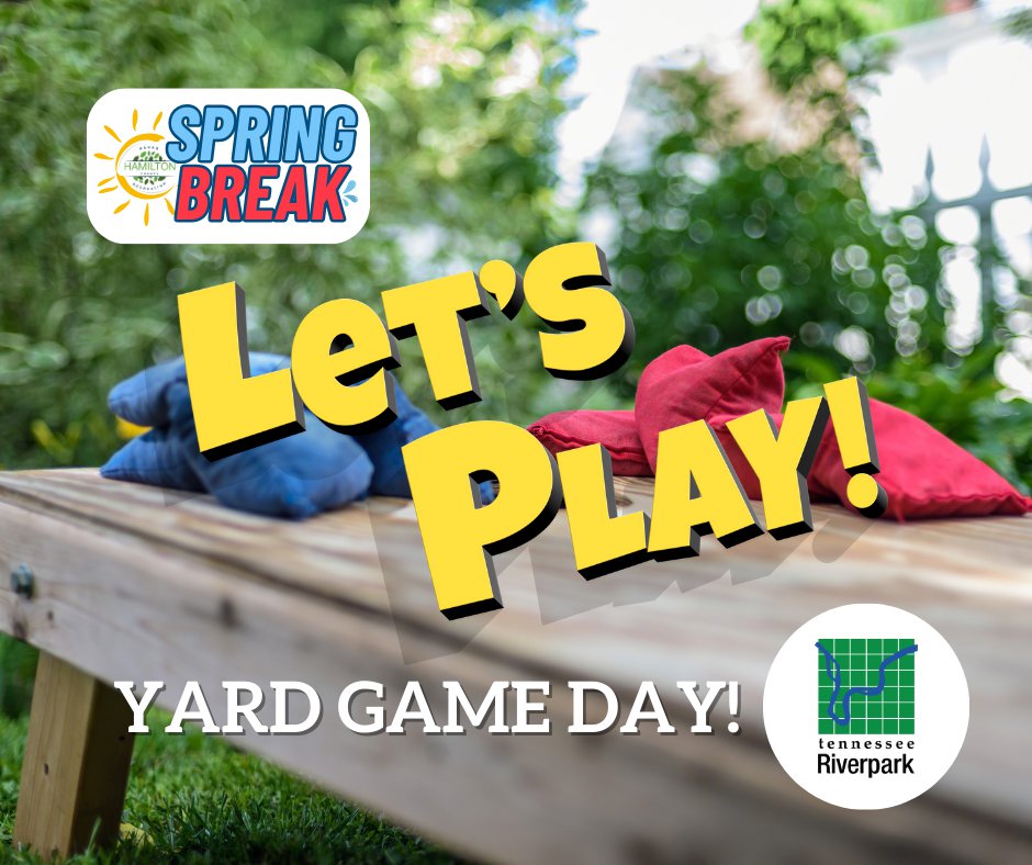 Let's Play Yard Game Day - 3