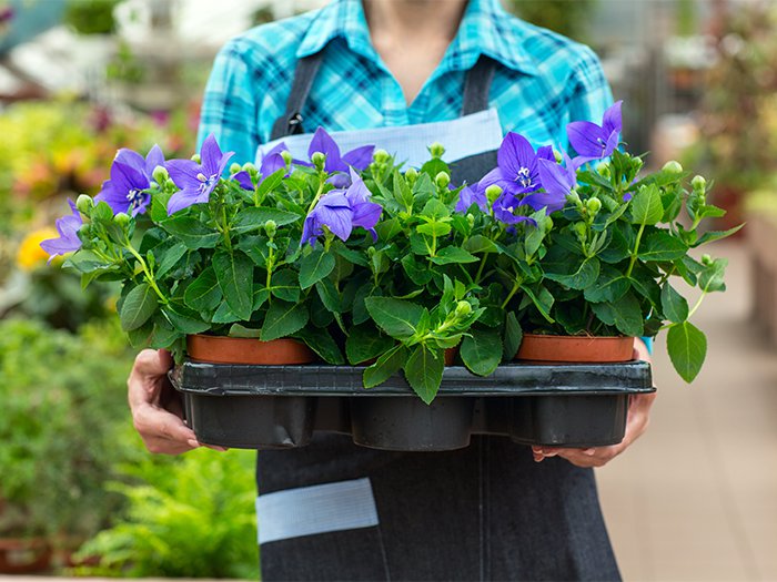 July Gardening Tip: Treasure Hunting In The Big Box Stores
