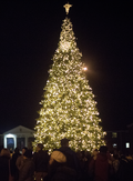 SAU_ChristmasTreeLighting_12-03-24.png