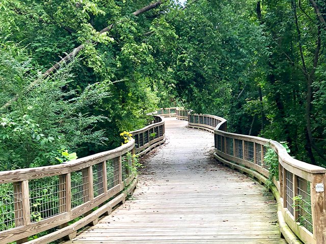 South Chickamauga Creek Greenway 24.png