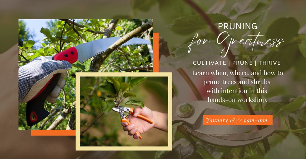 2024 Workshops Facebook Group Cover - 1.18.2025 Pruning