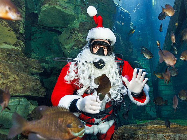 scuba claus 24.png