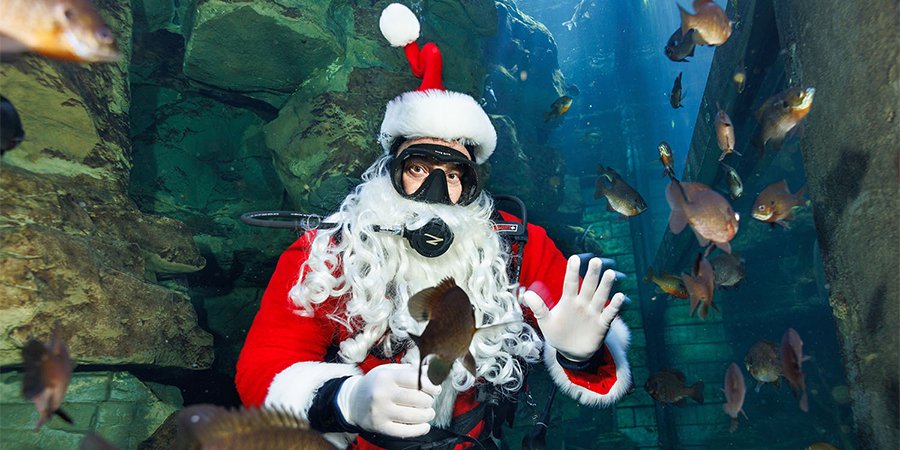 scuba claus 24 1.png