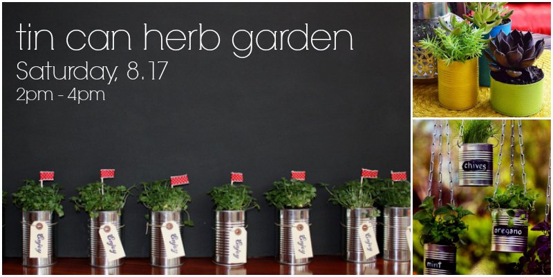 DIY Tin Can Herb Garden